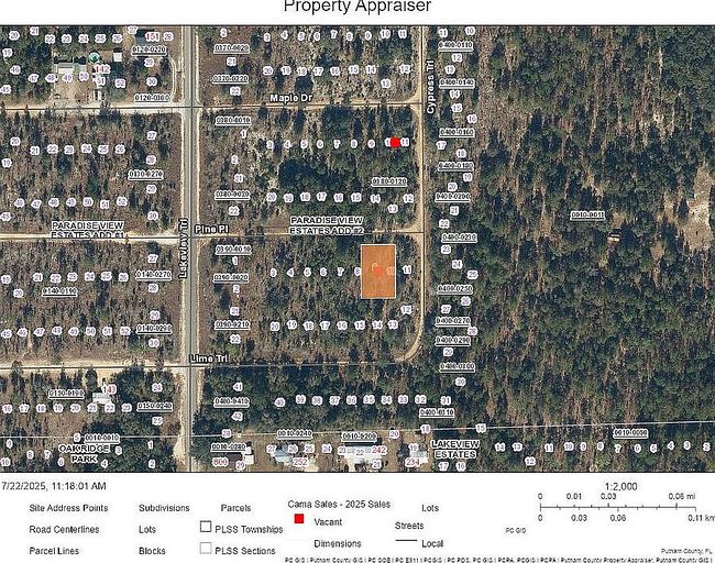 Photo of 215 Pine Pl, Interlachen, FL