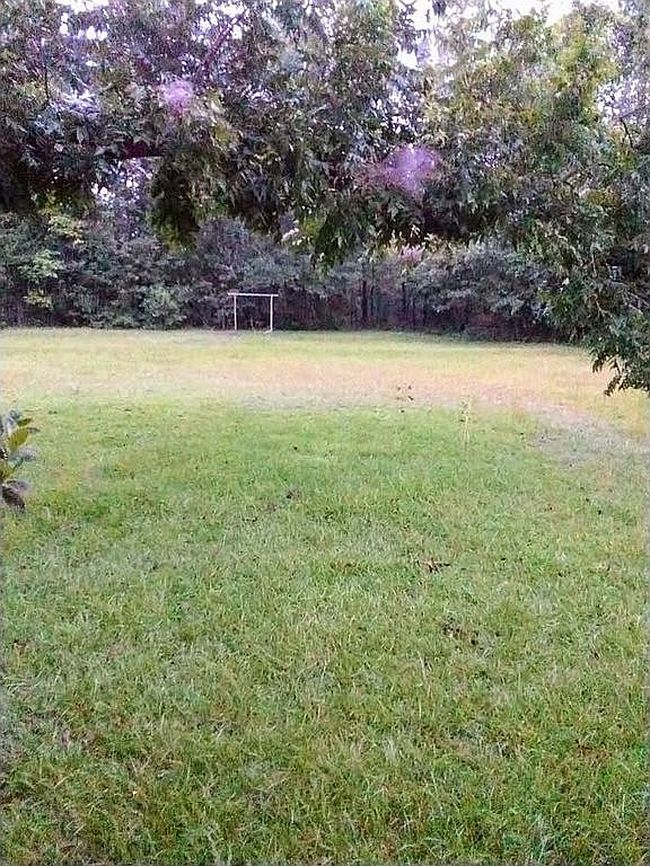 Photo of 723 N Railroad Ave, Mount Vernon, GA