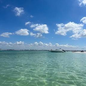 Image of 2700 Bayshore Blvd Apt 519
