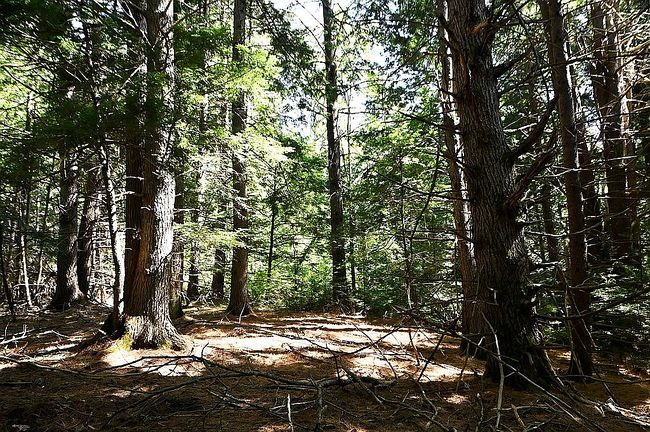 Photo of 862 E Putney Brook Rd, Westminster, VT