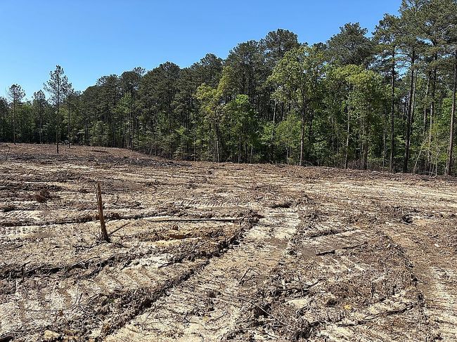 Photo of 161 Highway 1199, Elmer, LA