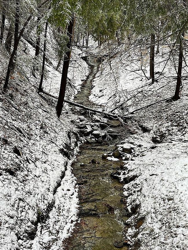 Image of 6519 Rice Rd