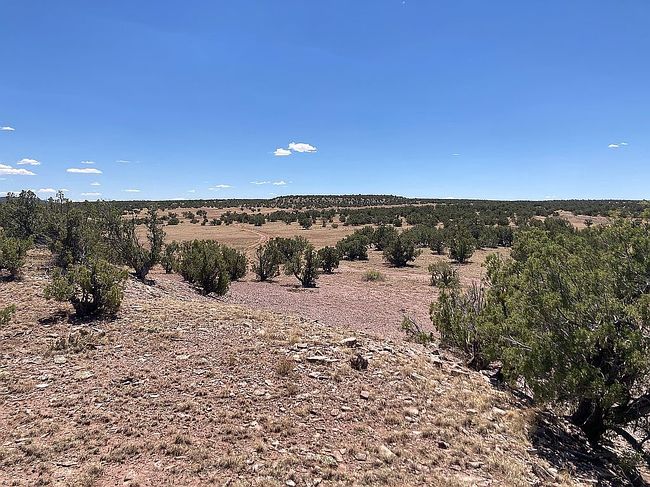 Photo of 55 Woodview Dr, Thoreau, NM