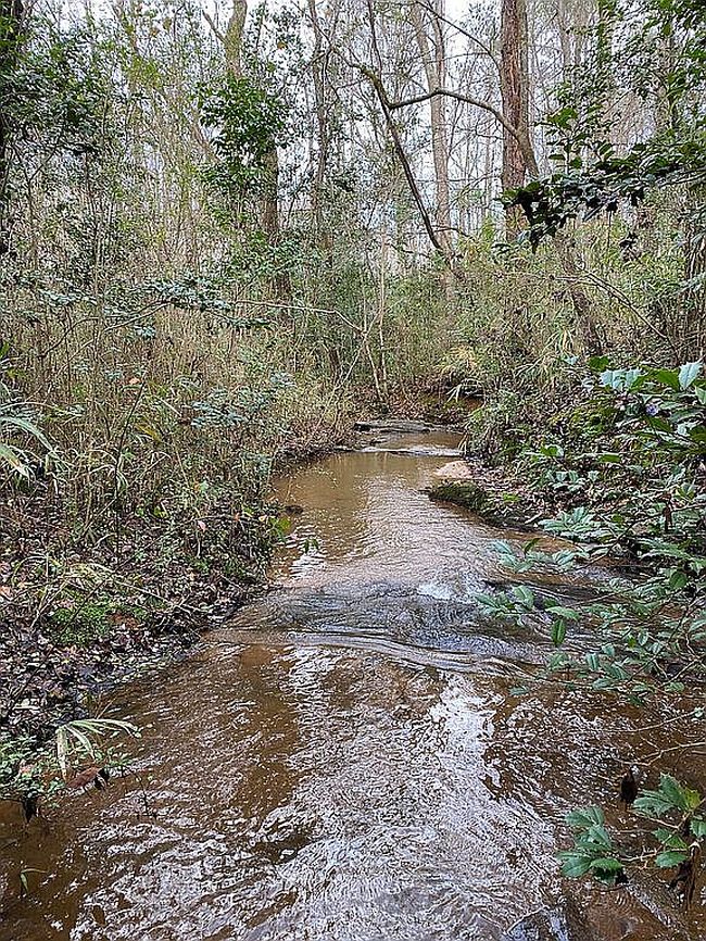 Photo of 0 Chalybeate Rd, Manchester, GA