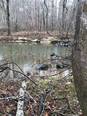 Additional photo 3 of property located at 849 Cornelia Rd