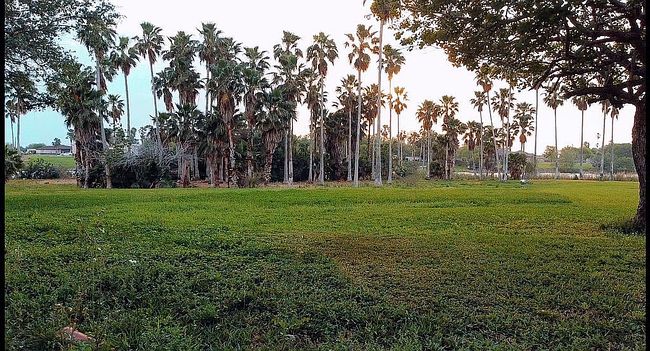 Photo of 126A Chachalaca Dr, Bayview, TX