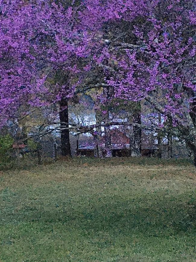 Image of 3562 Summertown Hwy