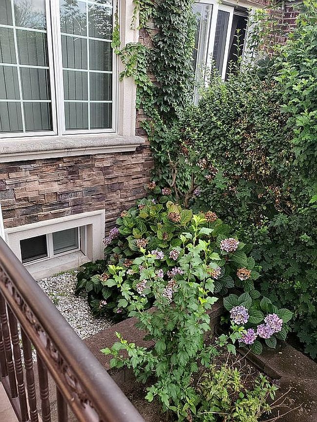 Photo of 16818 Foch Blvd, Jamaica, NY
