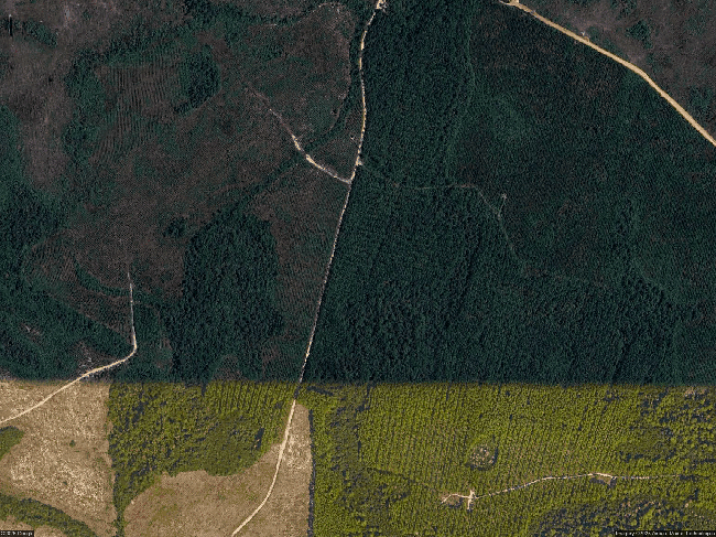 Image of 116 Smugglers Cove Ct