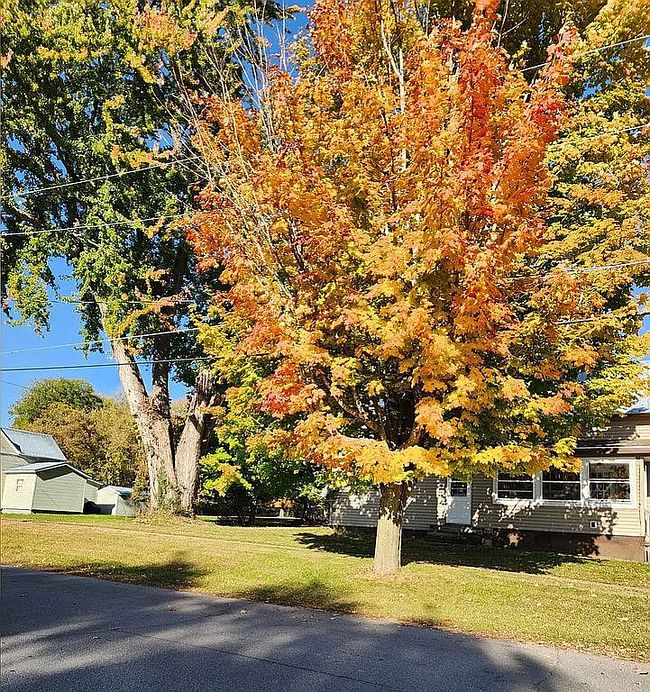 Photo of 42 Park St, Norwood, NY