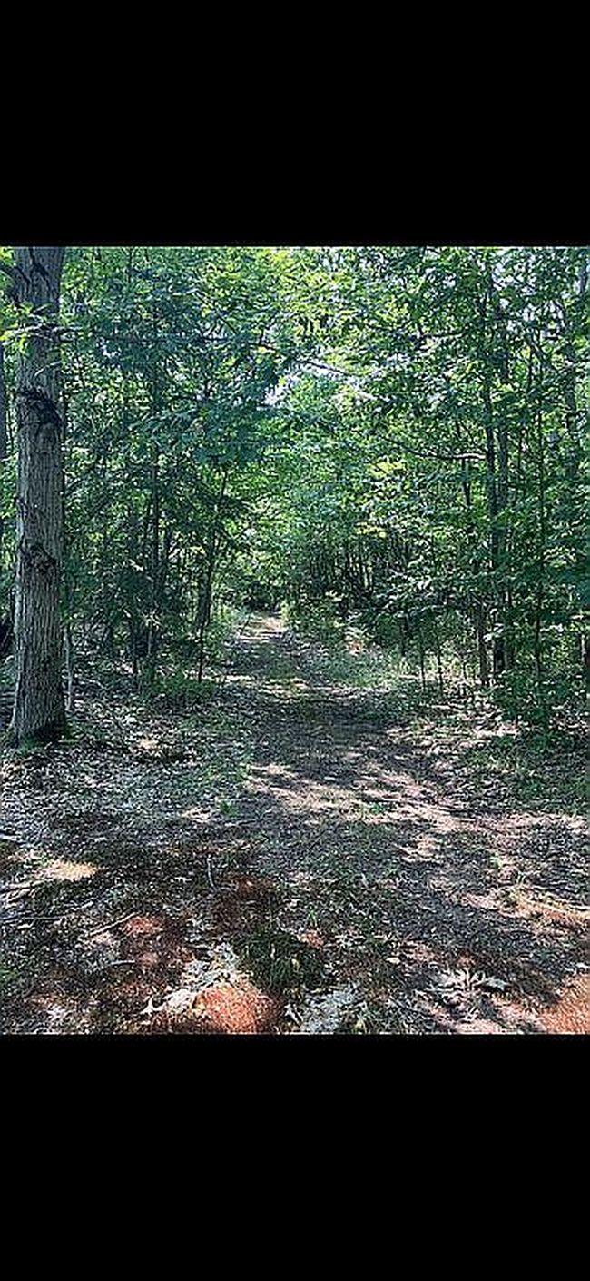 Photo of 6655 Burdicks Crossing Rd, Lyons Falls, NY