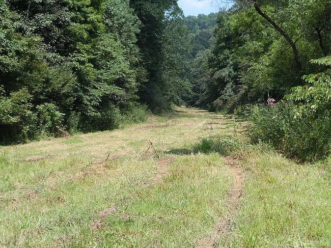 Image of 1375 Dry Fork Rd