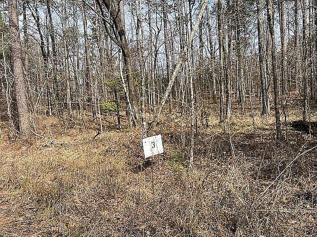 Photo of Ridgeway Ln, Toomsuba, MS
