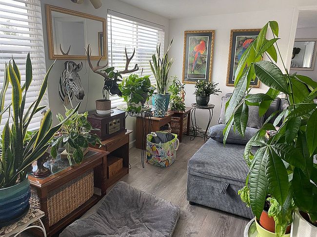 Image of 709 E Mohave Way