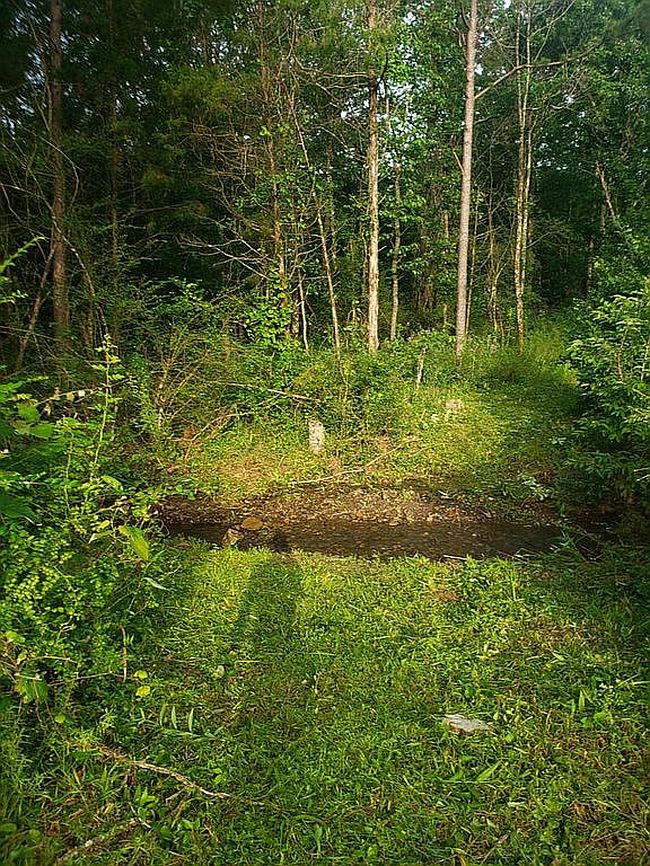 Additional photo 3 of property located at 10506 Lo Gap Rd