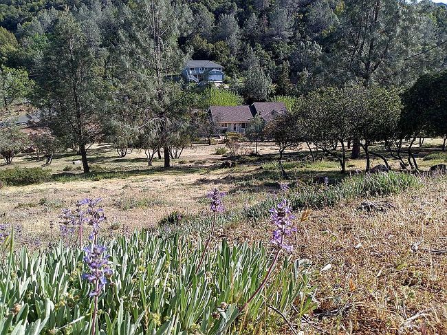 Image of 10131 El Capitan Way