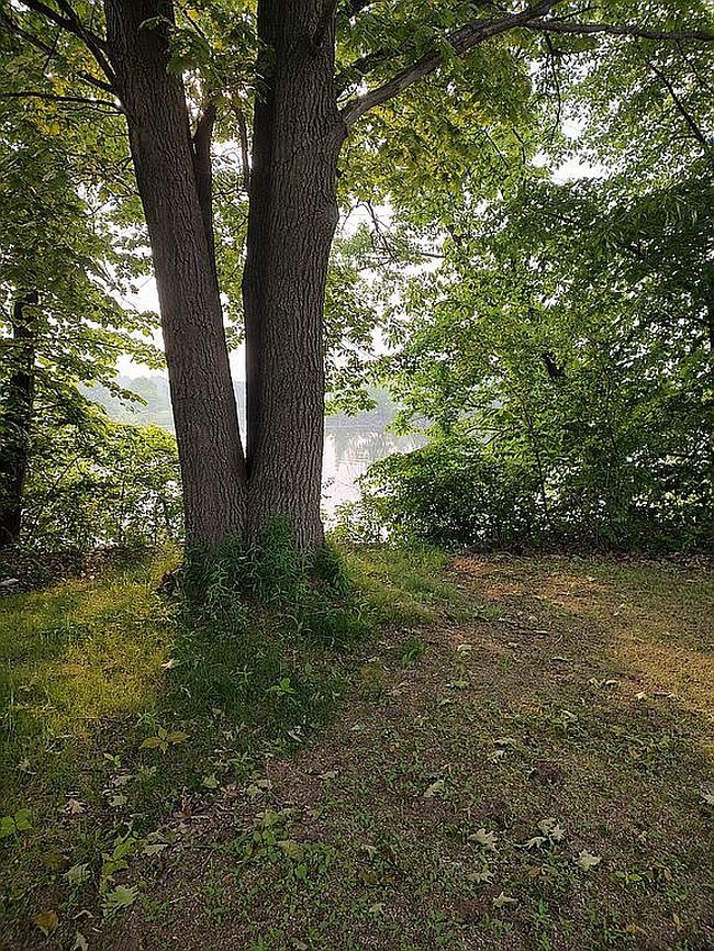 Image of 5 Brookview Dr