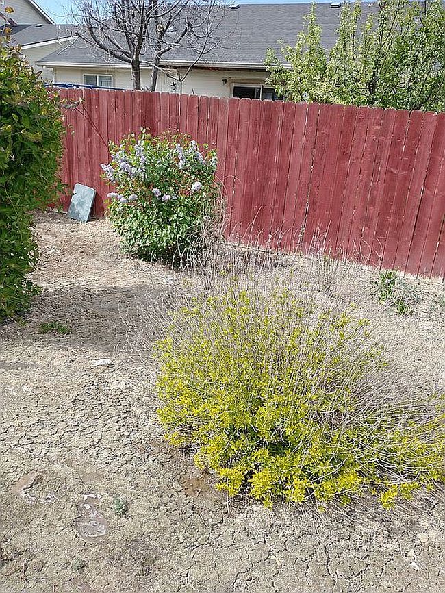 Image of 2611 Wintercrest St