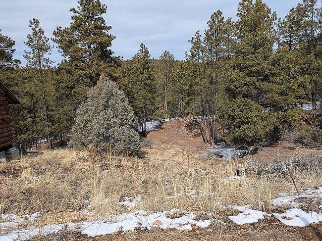 Image of 53A Old Forest Trl