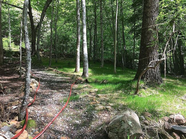 Image of 433 Possum Holler Trl