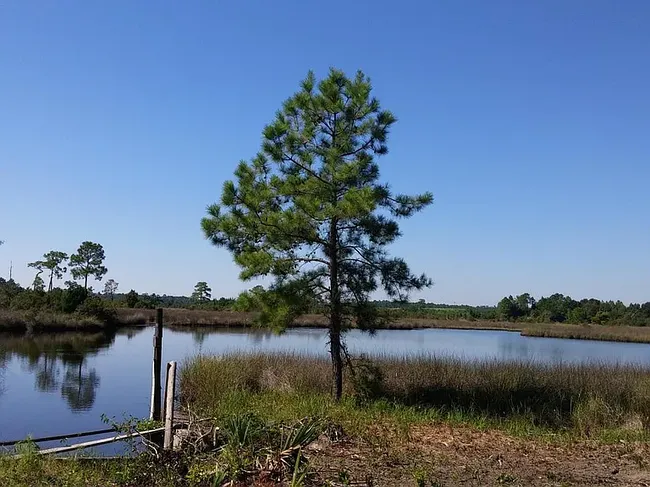 Image of 10565 Shorecrest Rd