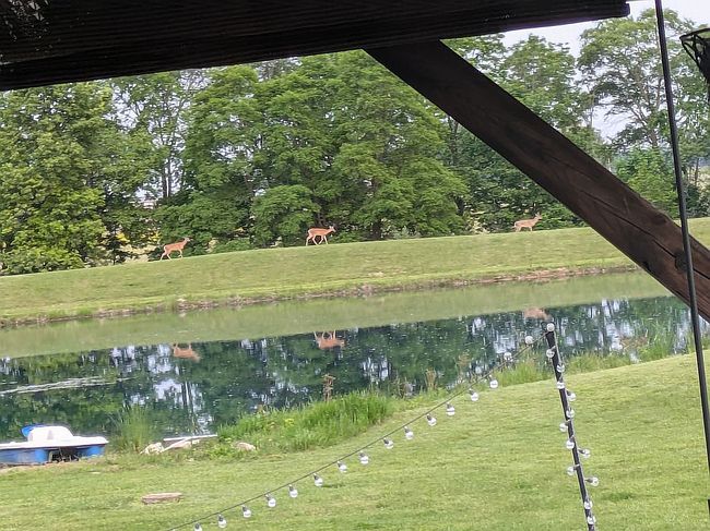 Image of 271 County Road 215