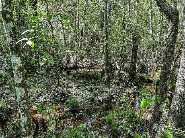 Image of 2710 County Road 4800