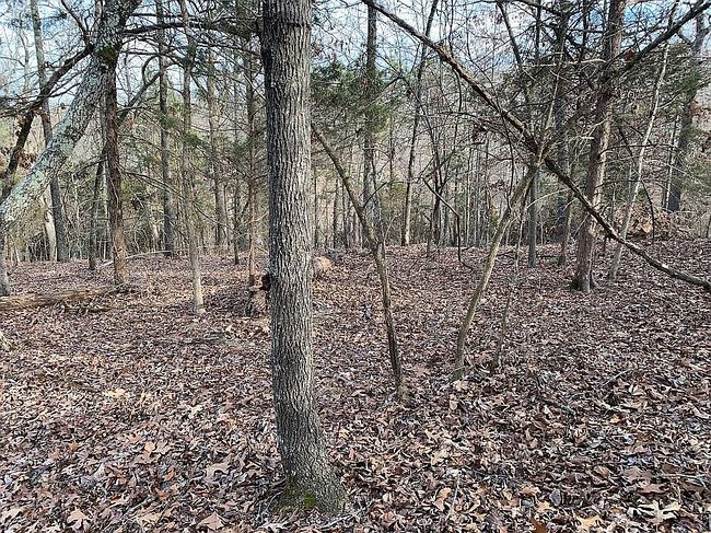 Image of 8119 Beaver Shores Rd