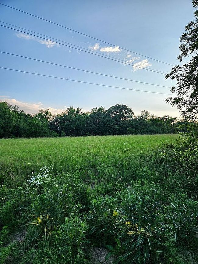 Photo of 12333 Nettle Dr, Neosho, MO