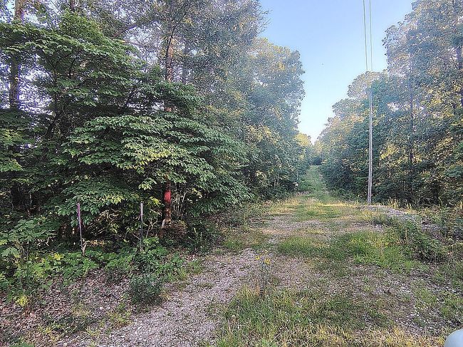 1389 Peaceful Ln #6, Yellville, AR