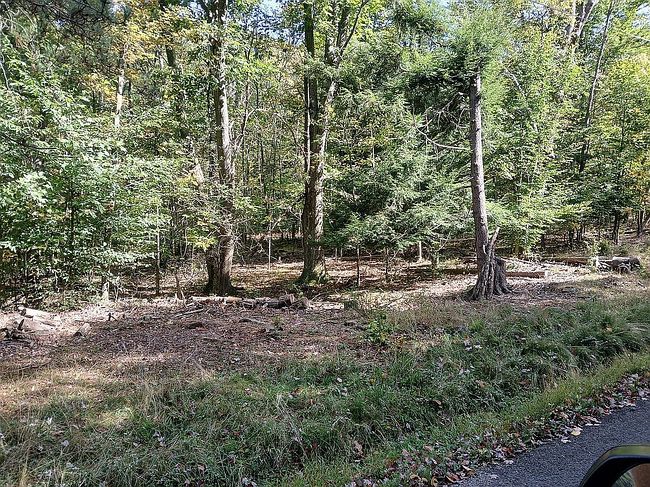 Preview of property located at 0 Pioneer Rd