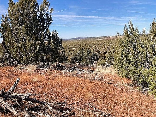 Image of 91 Ranch Rd #78-8145