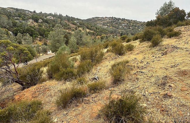 Image of 10148 El Capitan Way
