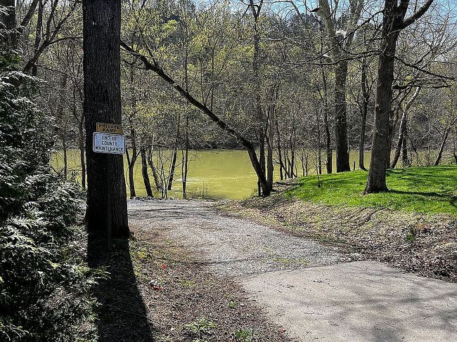 Image of 459 Logan Antle Rd