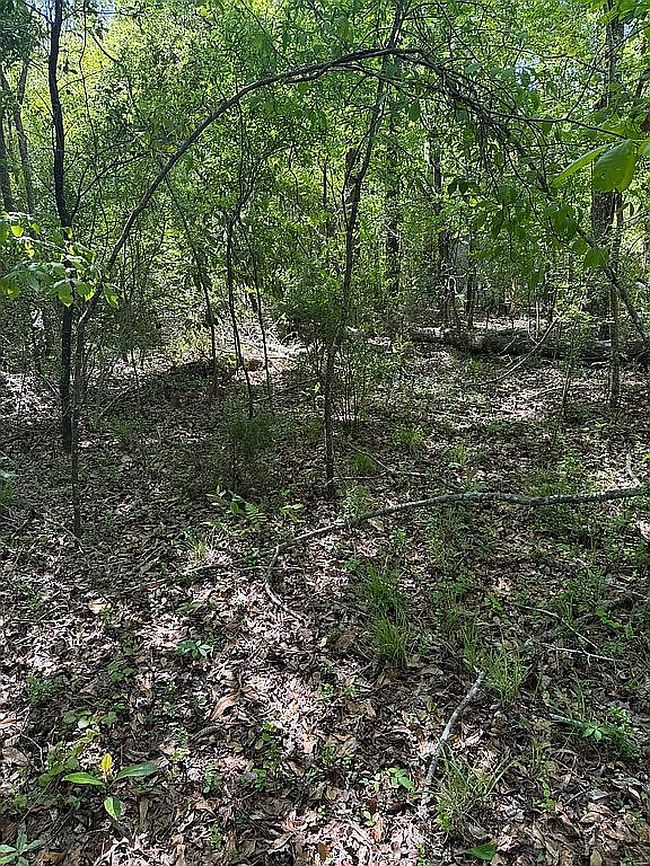 Image of 0 Off Hwy #341