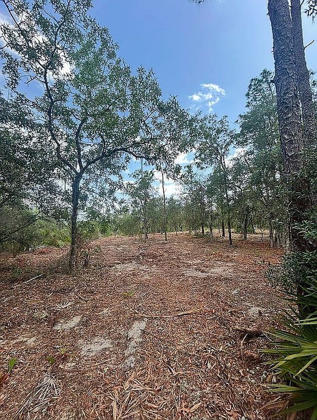 Photo of 0 Ne 92nd Pl, Bronson, FL