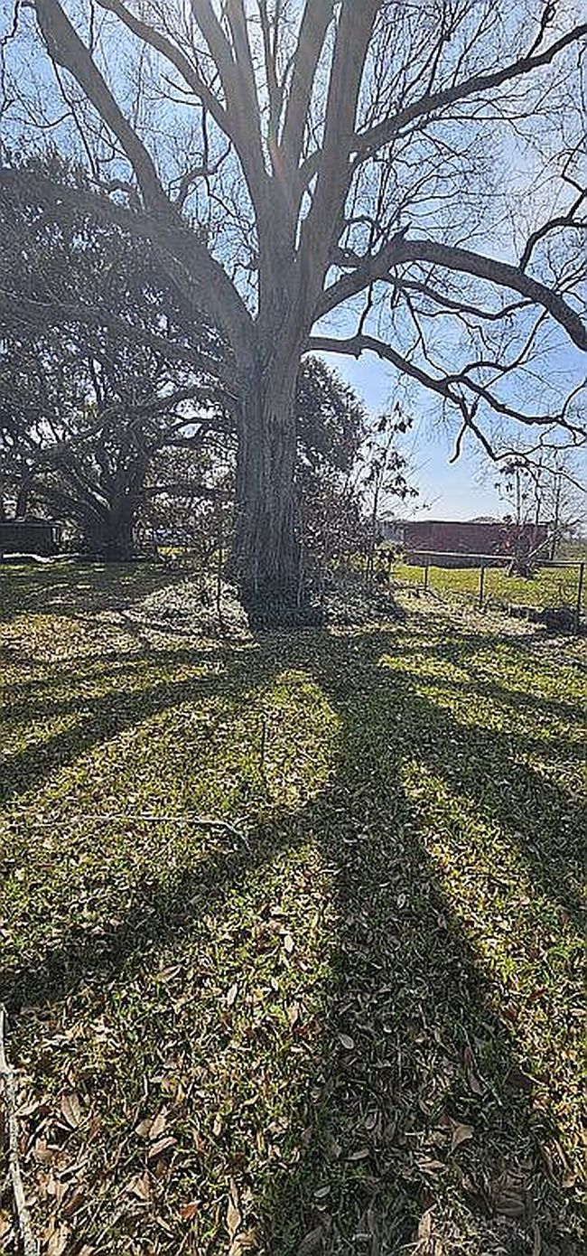 Image of 10620 North Rd