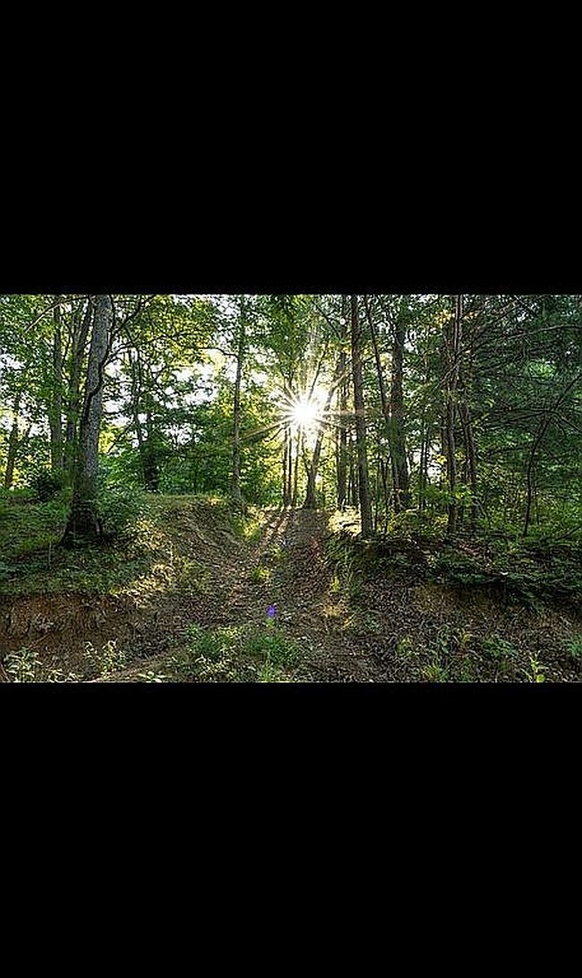 Image of 890 Silver Ridge Rd