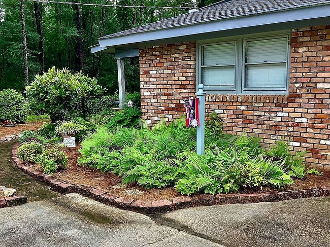 Image of 113 Pinewood Dr