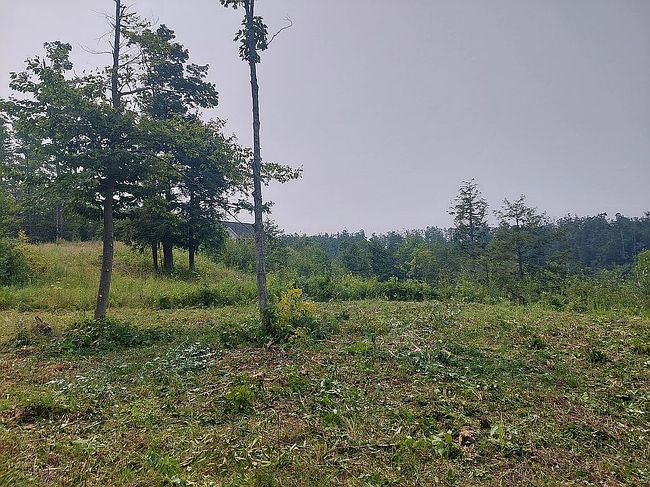 Photo of Lot 19 Aspen Ridge Ct, Boyne City, MI