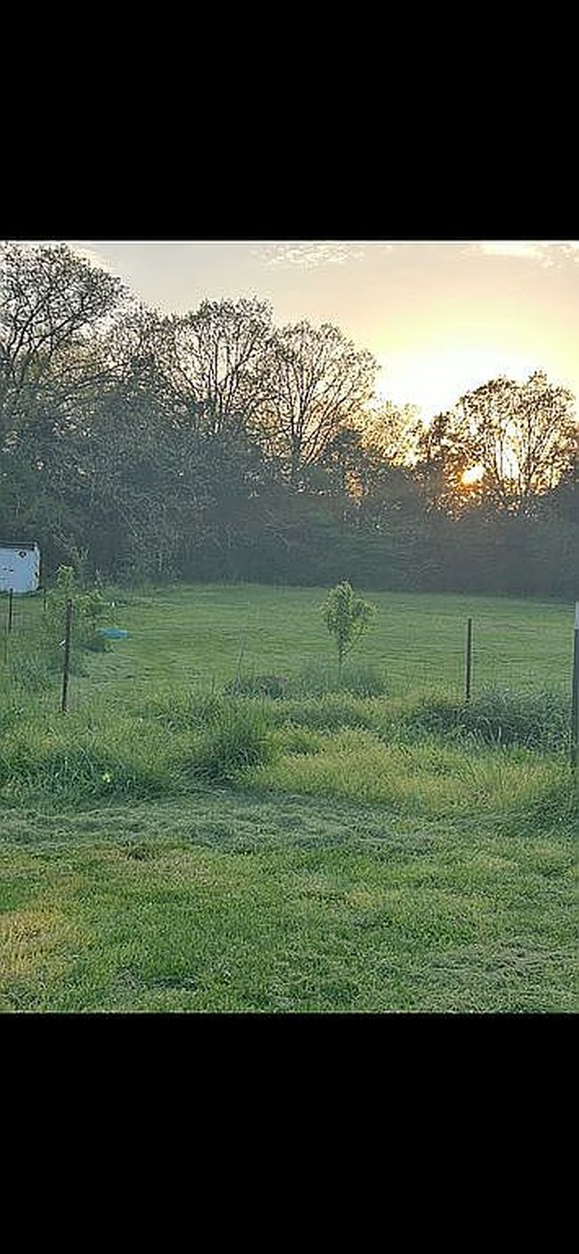 Photo of 1180 Hollercamp Rd, Farmington, MO