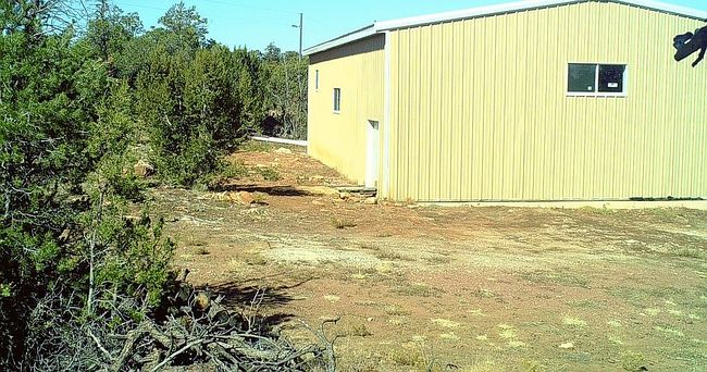 Photo of 8670 Haven Crest Dr, Happy Jack, AZ