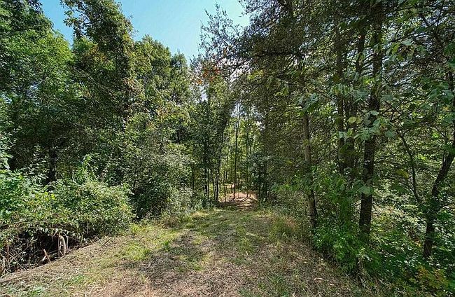 Image of Phillips Drive Blk