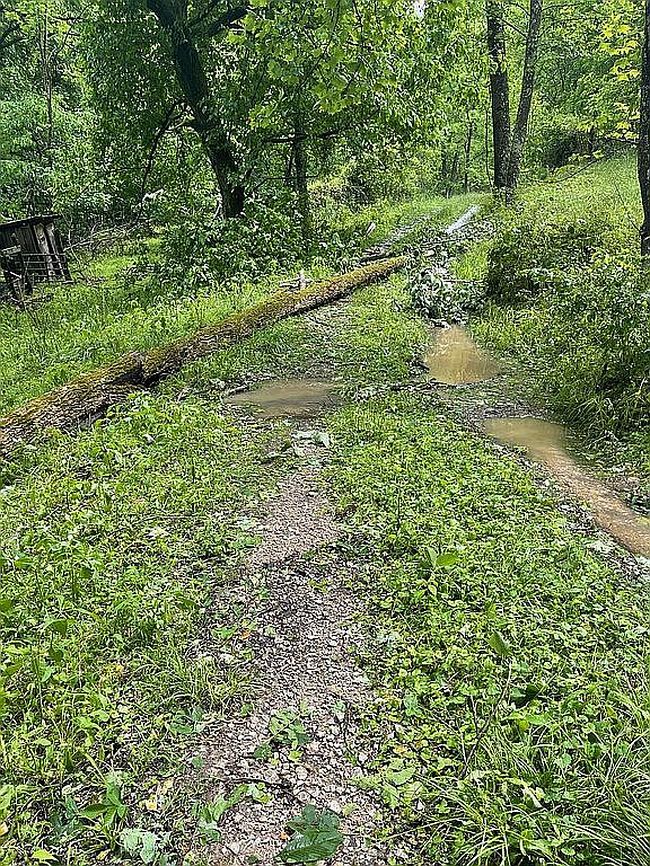 Image of 900 Rabbit Jarrell Hollow Rd