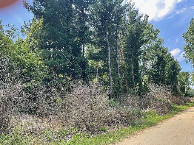 Photo of Meadowdale Rd