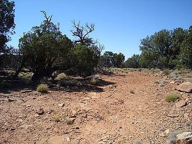 Image of 0 Victor