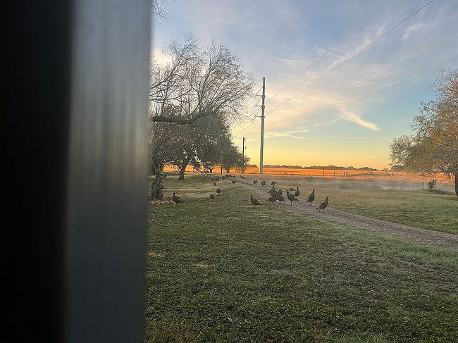 Photo of 932 County Road 536, Skidmore, TX