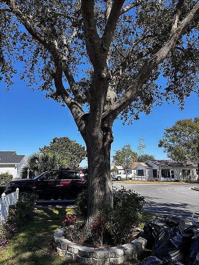 Photo of 2623 Botello Ave, The Villages, FL