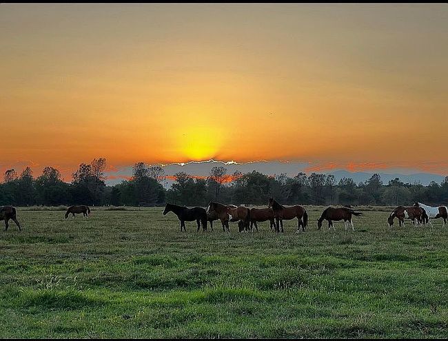 Additional photo of property located at Sleeping Bull Ln