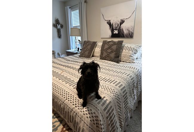 Additional photo 3 of property located at 1067 Cozumel Emerald